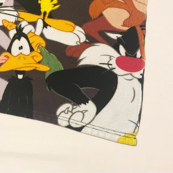 Looney Tunes Character Towel Bugs Bunny Sylvester Tasmanian Devil Tweety - Picture 7 of 16